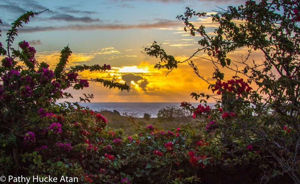 Kona Koa Lodge Hanga Roa Buitenkant foto